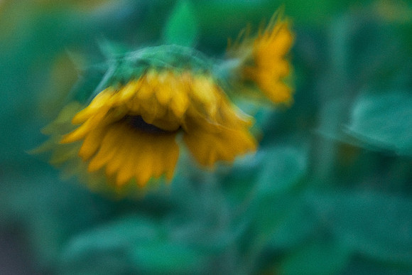 S1_00834_1