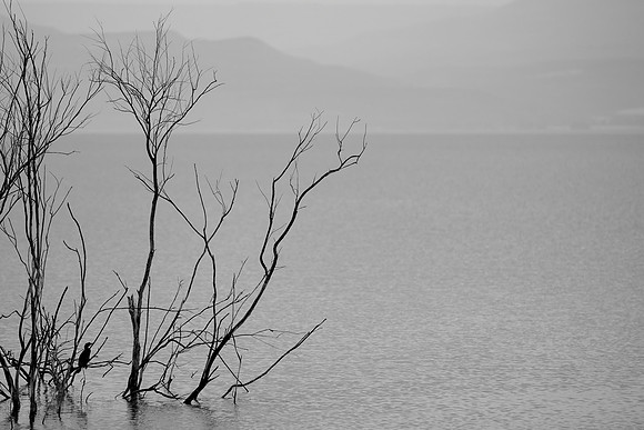 S1_05838