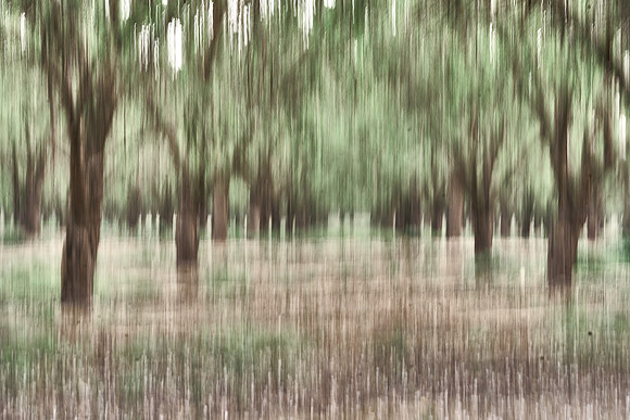 S1_04997_1