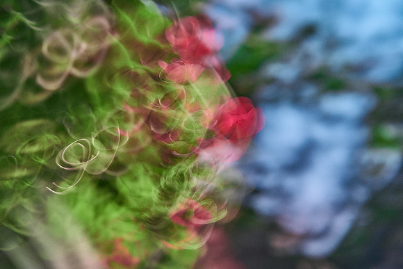 S1_04690