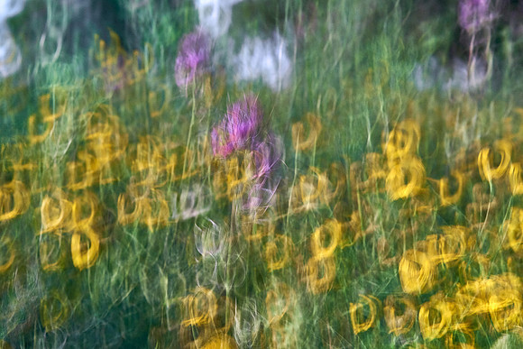 S1_07356
