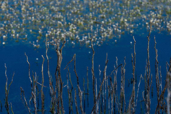 01_07227