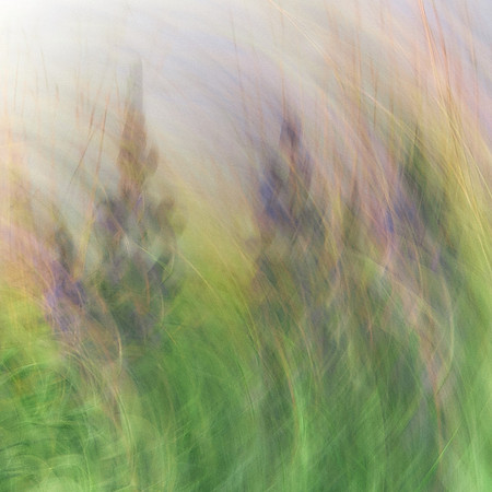 01_05964