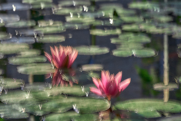 2023_04_14_154