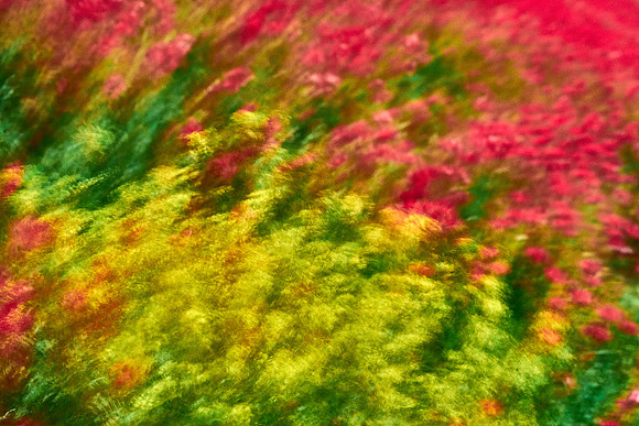 S1_07725