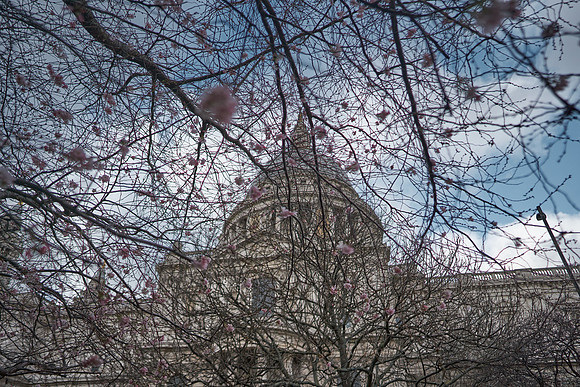 01_00266_1