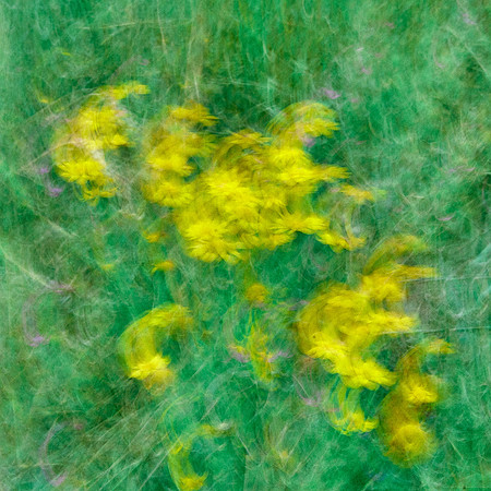 01_07833