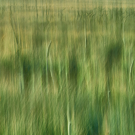 01_07166