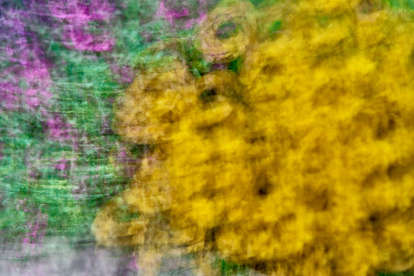S1_04590
