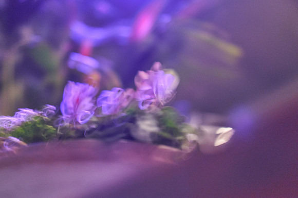 S1_05206