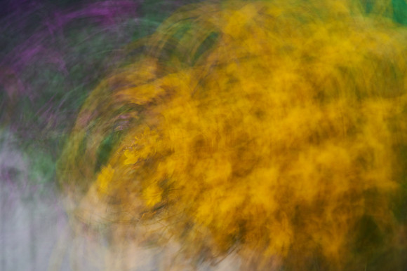 S1_04571