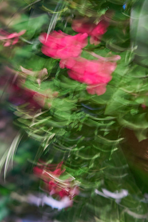S1_04616_1