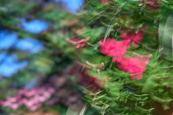 S1_04616_2