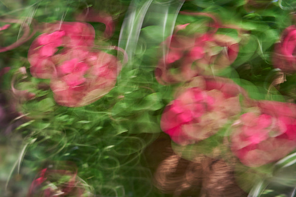 S1_04617