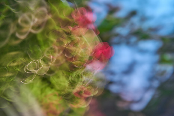 S1_04690