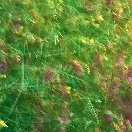 01_06830_1
