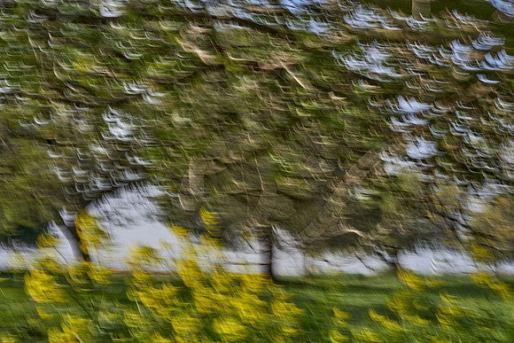 01_07416