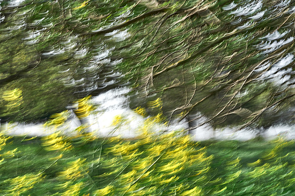 01_07463