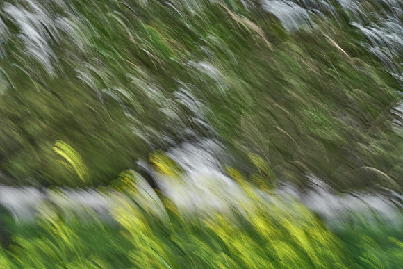 01_07469_1