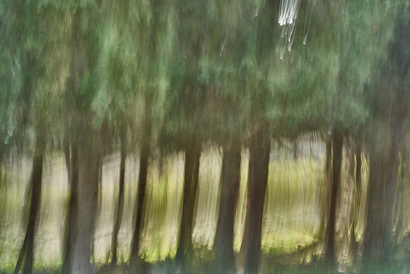 01_07495