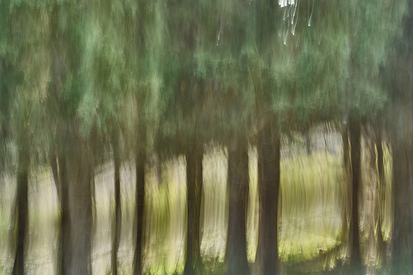 01_07495_1
