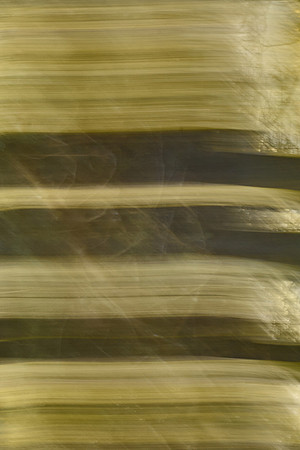 01_07496_1