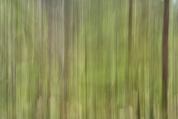 01_07593
