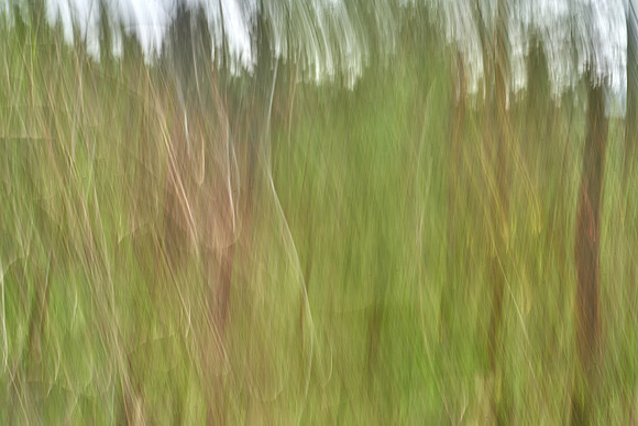 01_07603