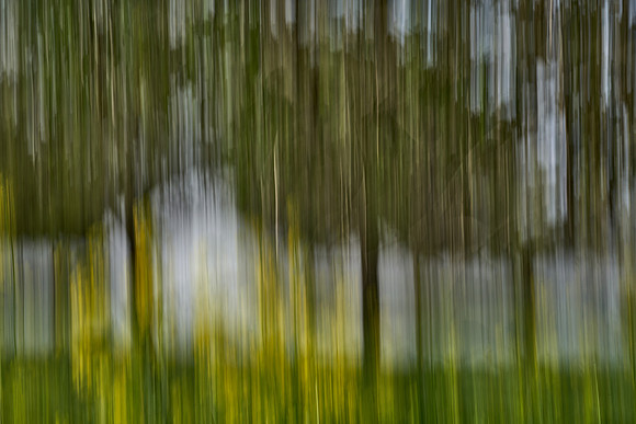 01_07393