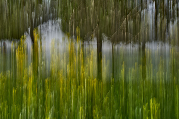 01_07394