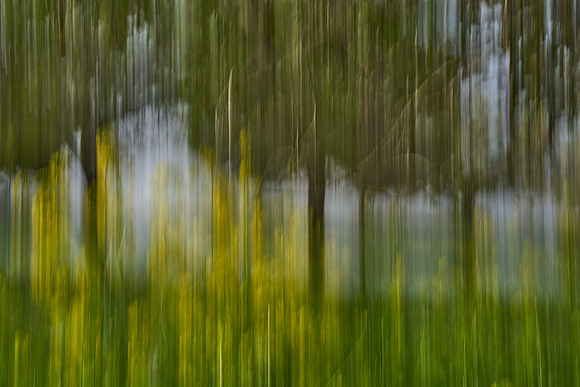 01_07398