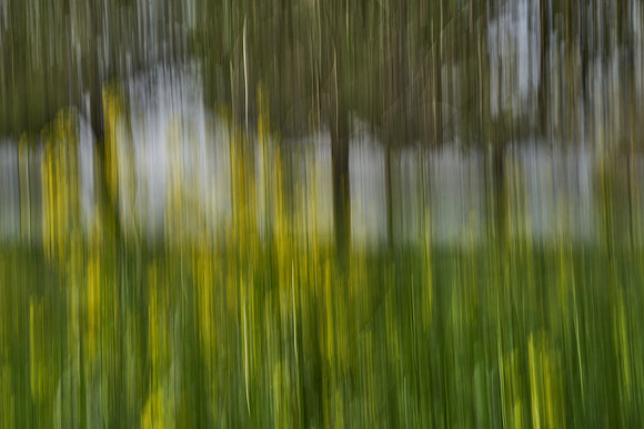 01_07405