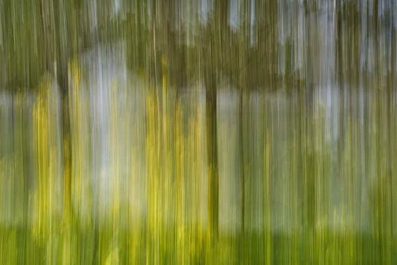 01_07409