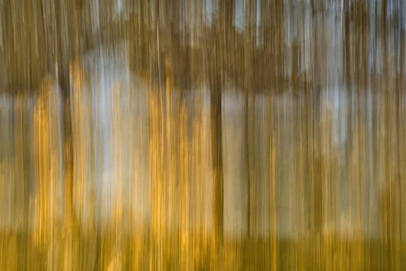 01_07409_1