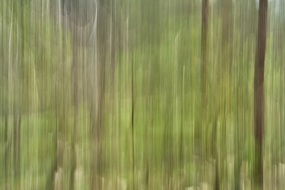 01_07597