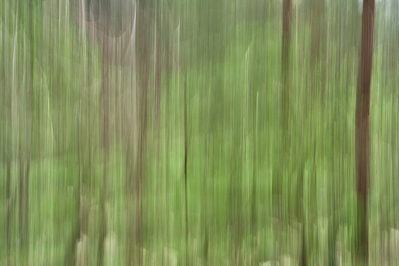 01_07597_1