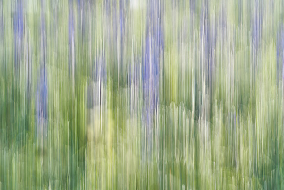 01_07041