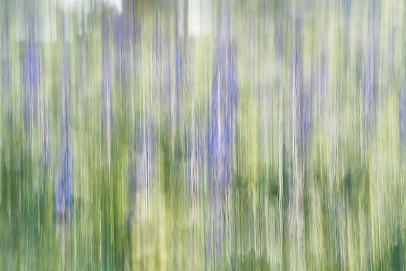 01_07040_1