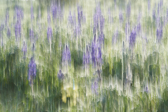 01_07037