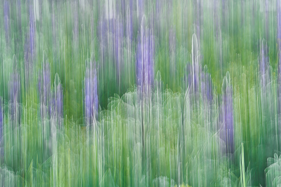 01_07058