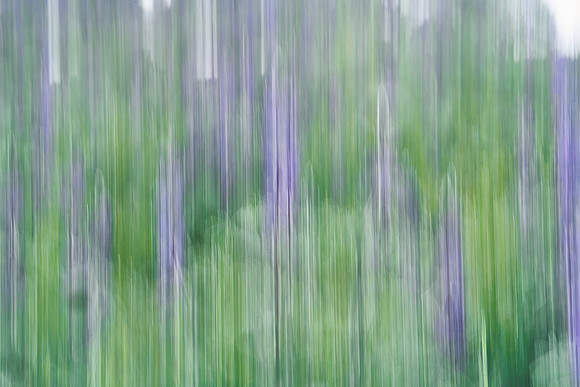 01_07059