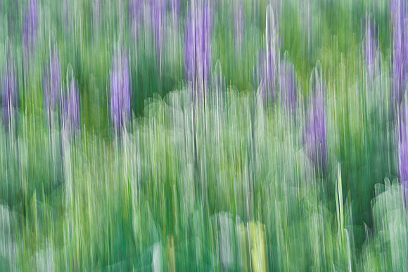 01_07066