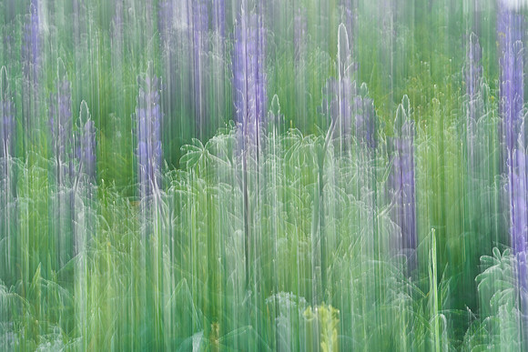 01_07068