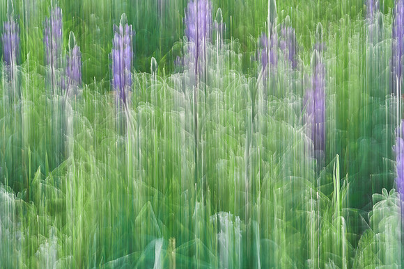 01_07092