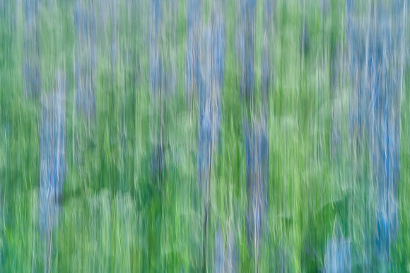 01_07129