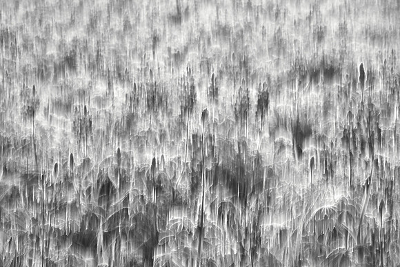 01_07145
