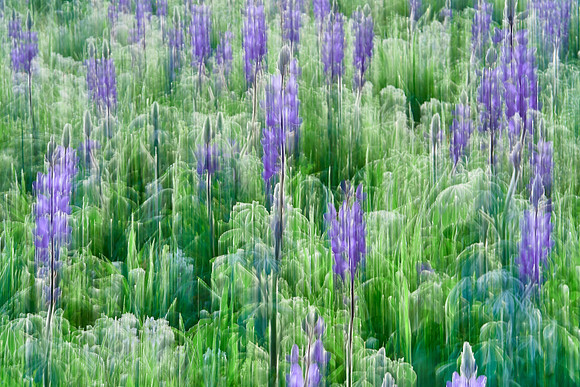 01_07141