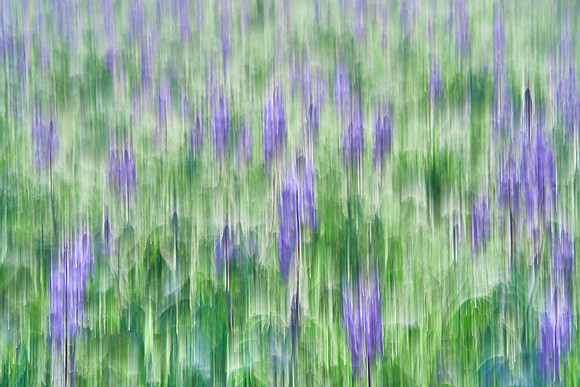 01_07147