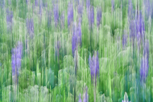 01_07148