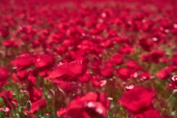 S1_07708